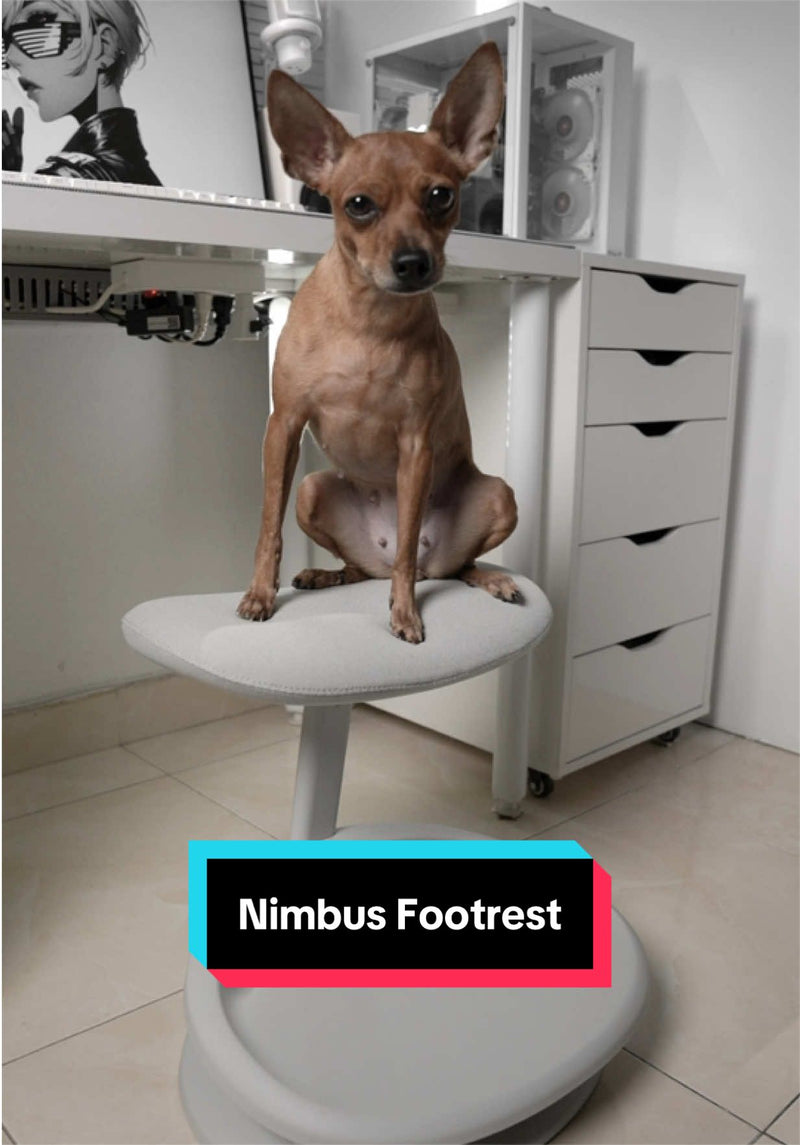 Nâng tầm trải nghiệm làm việc với kê chân Nimbus 🤍